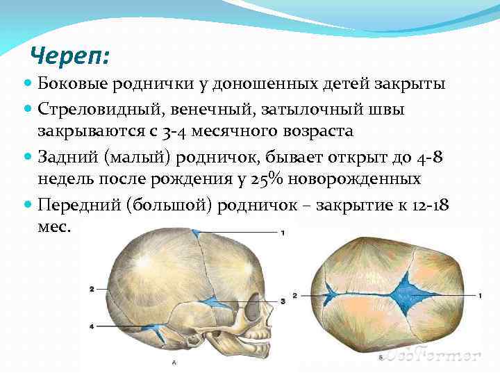 Впалый родничок у грудничка: причины, что делать?