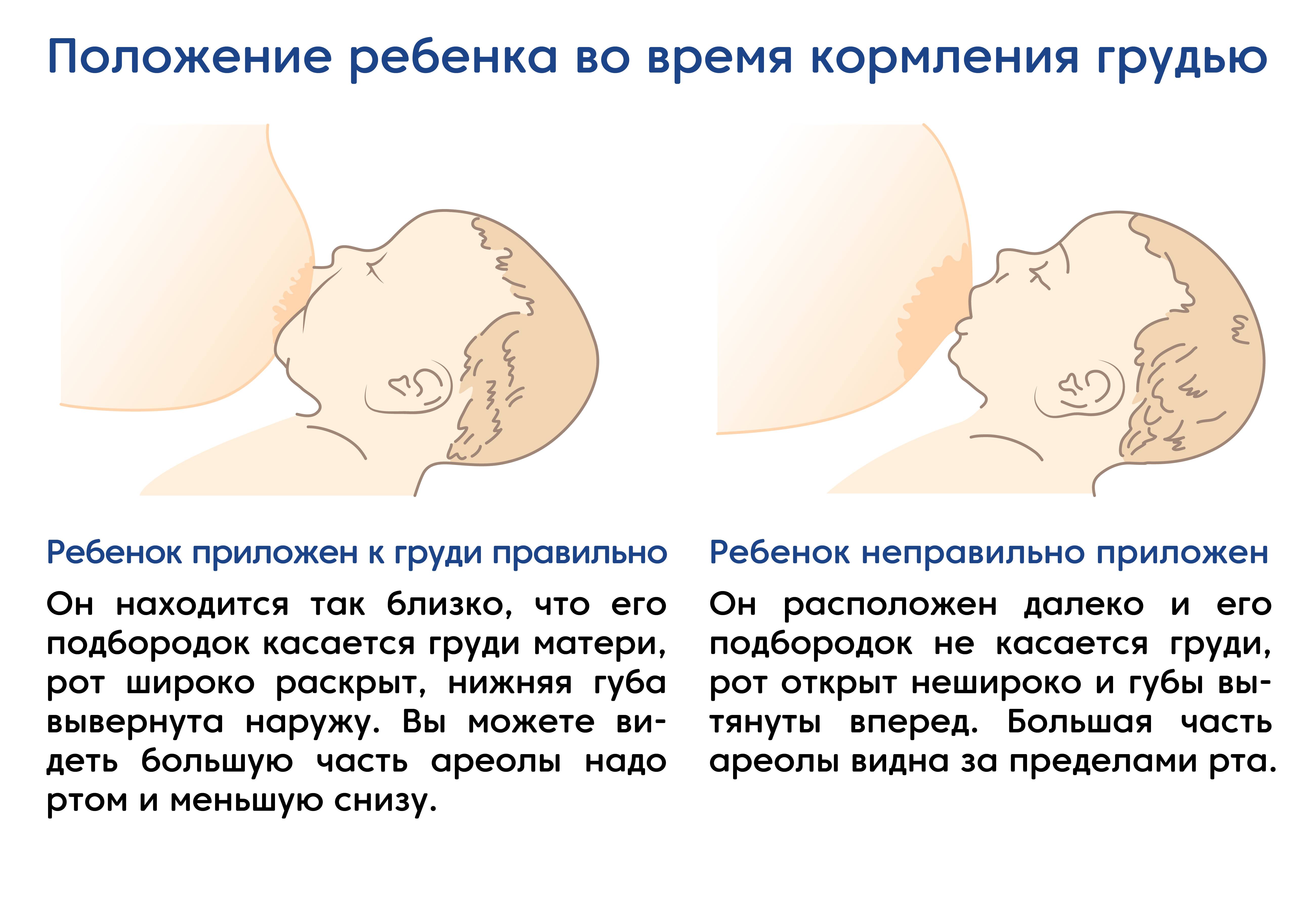 Как правильно прикладывать ребенка для кормления | азбука здоровья