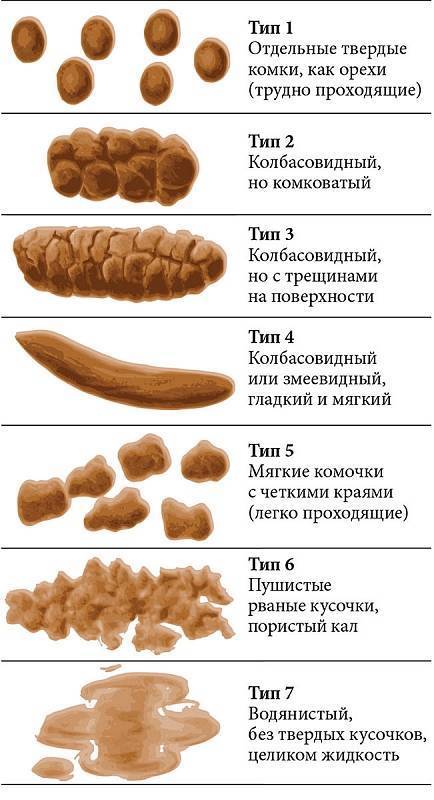 Прожилки крови в кале у грудничка на грудном вскармливании (комаровский)