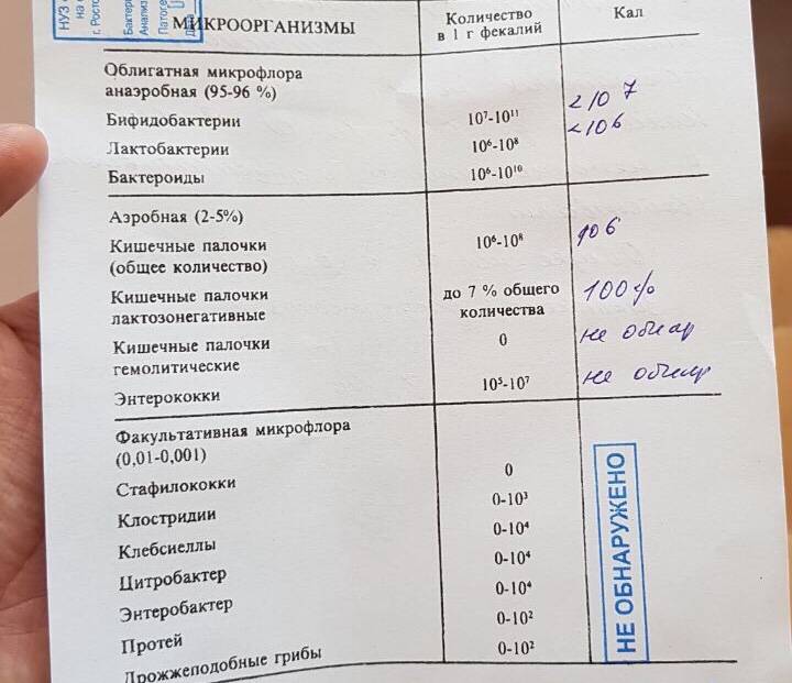 Анализ кала на дисбактериоз у грудничка