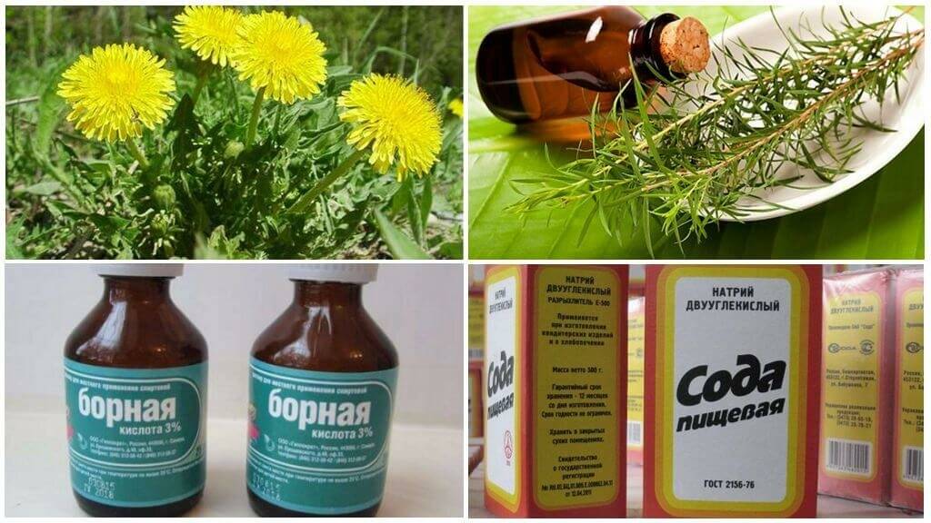 Чем мазать укусы комаров, чтобы они не чесались и заживали