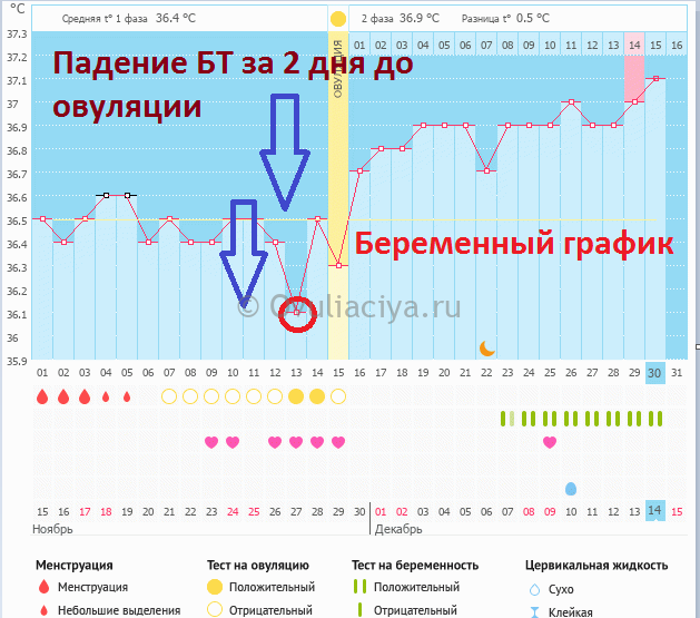 Измерение базальной температуры: проверенный метод планирования беременности