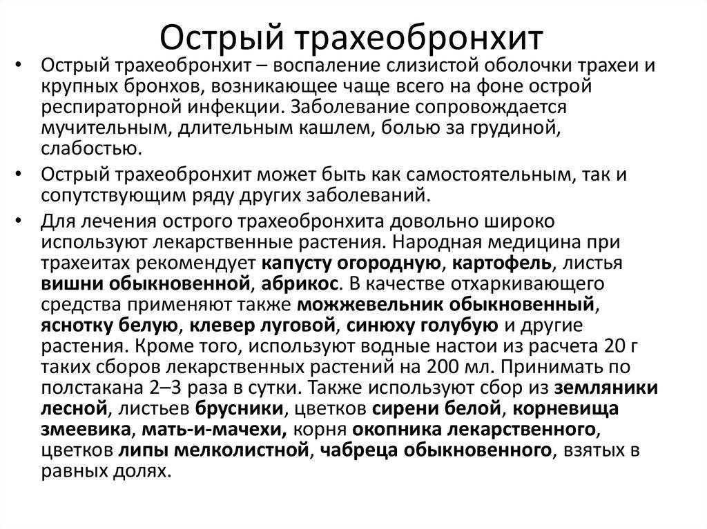 Лечение трахеита у взрослых: диагностика симптомов, классификация трахеитов и лечение | бронхипрет®