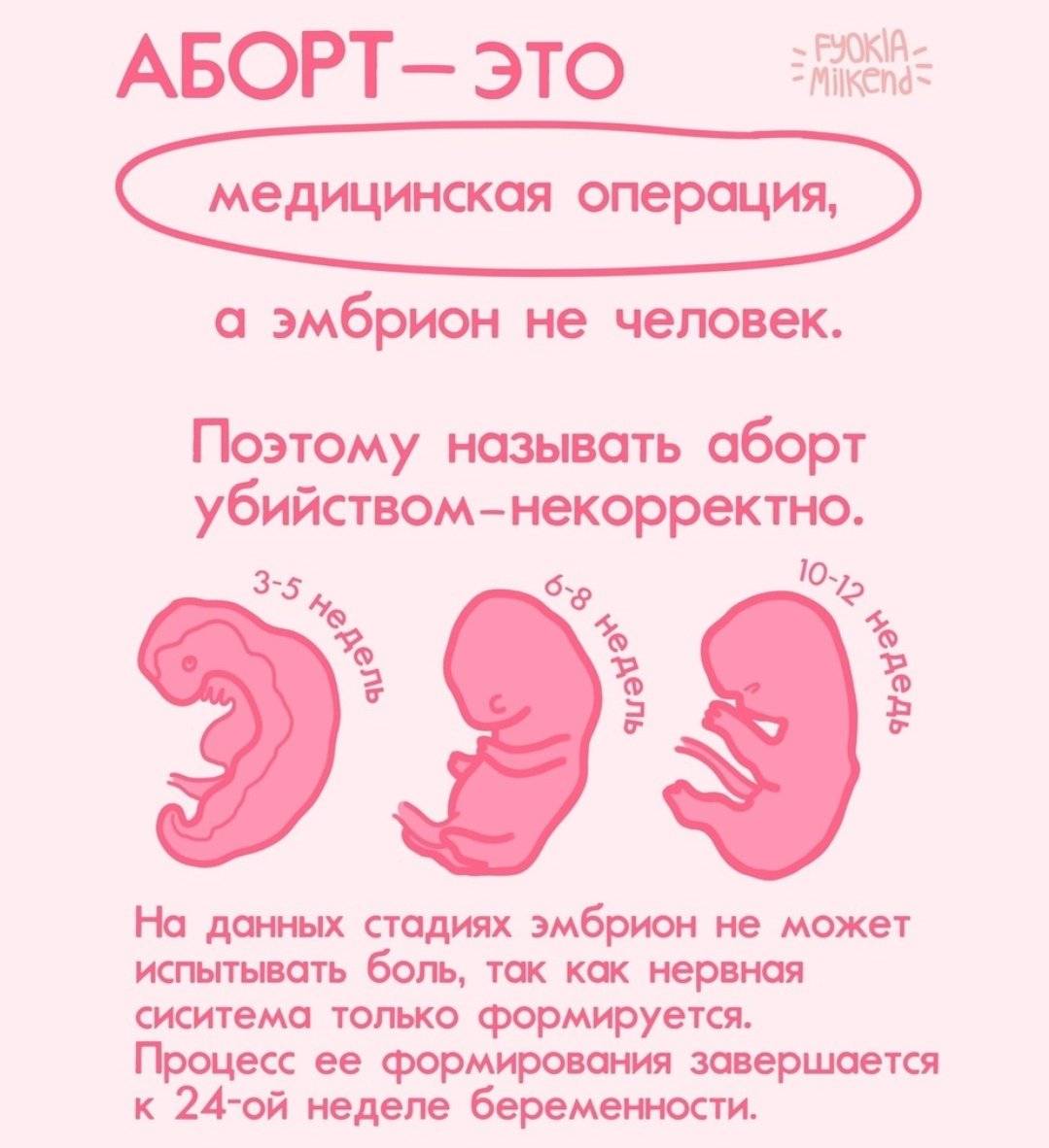 До какого срока можно прервать беременность (аборт)