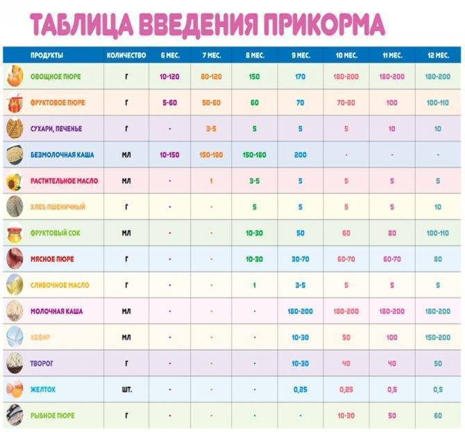 Педагогический прикорм, с чего начать, правила педприкорма при грудном вскармливании