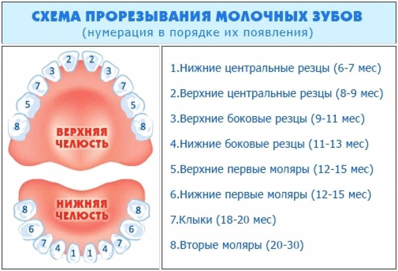 Рвота при прорезывании зубов у детей: причины, лечение / mama66.ru