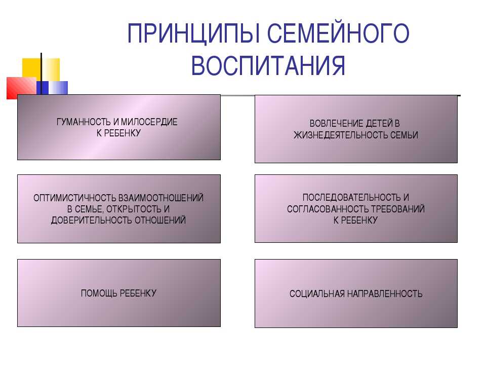 Воспитание детей в японии до 5 лет: как воспитывают в японской семье (методика)?