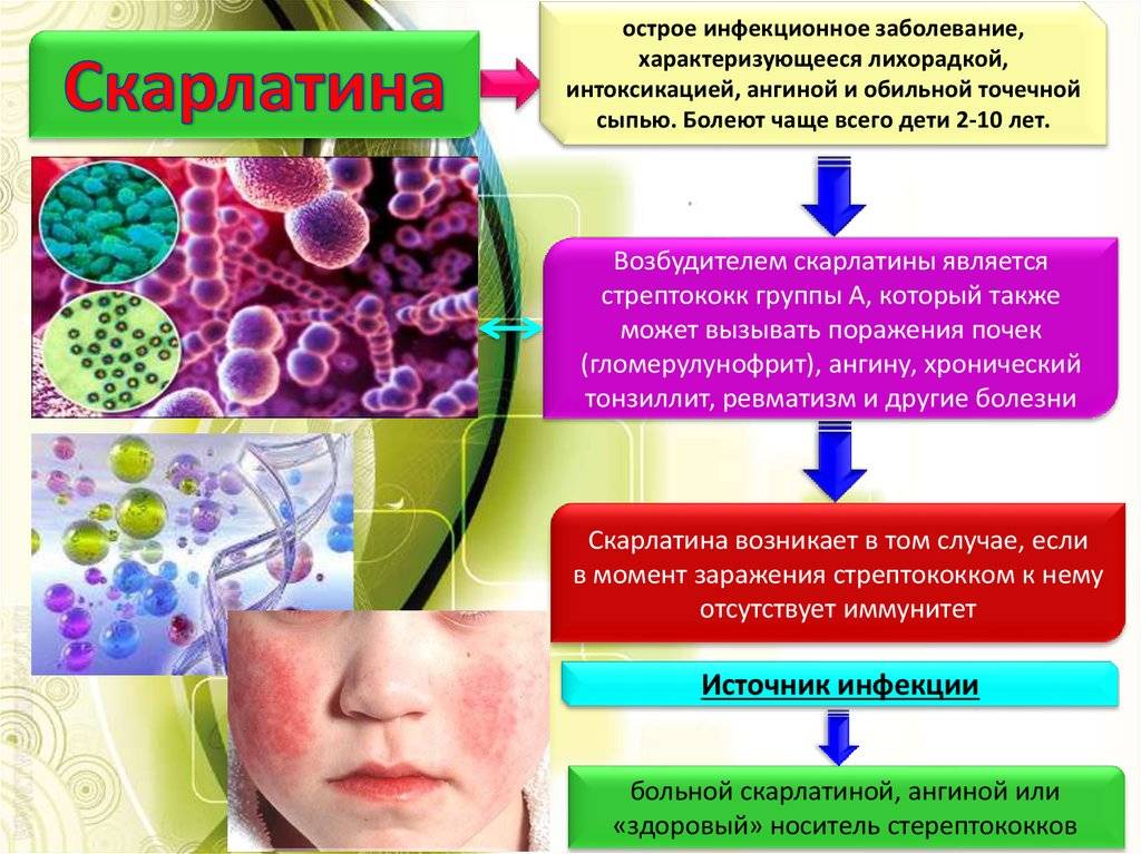 Вирусный дерматит у детей: причины, симптомы с фото и лечение инфекционного заболевания