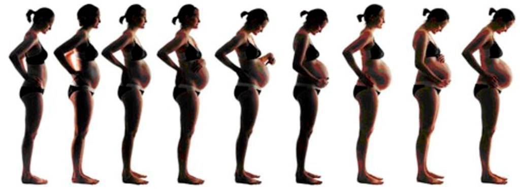 Когда при беременности начинает расти живот: на какой неделе и месяце / mama66.ru