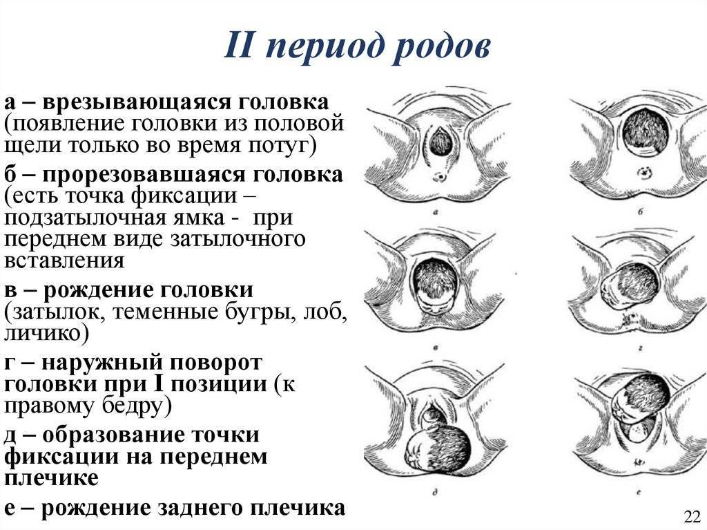 Четвертая беременность: особенности ее течения, как проходят роды