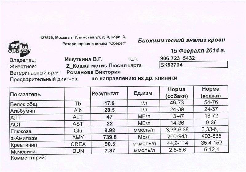 Анализы В Королеве Недорого