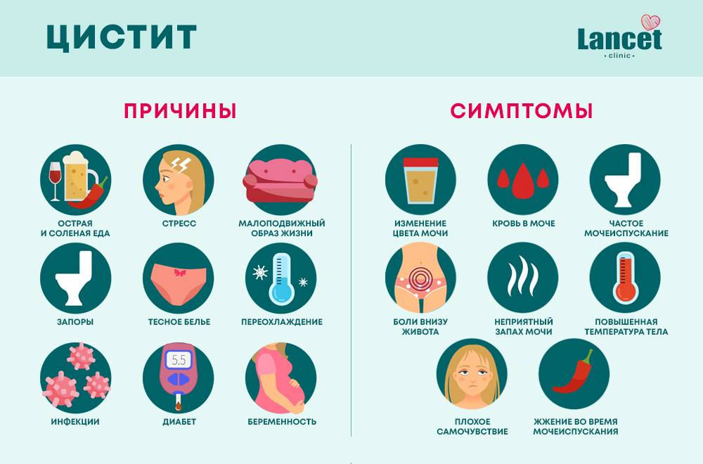 Воспаление мочевого пузыря — почему это происходит и как правильно лечить цистит * клиника диана в санкт-петербурге