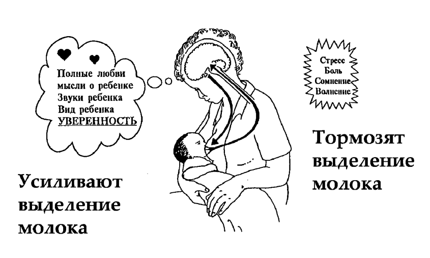 Как восстановить лактацию: народная медицина, лекарства и питание