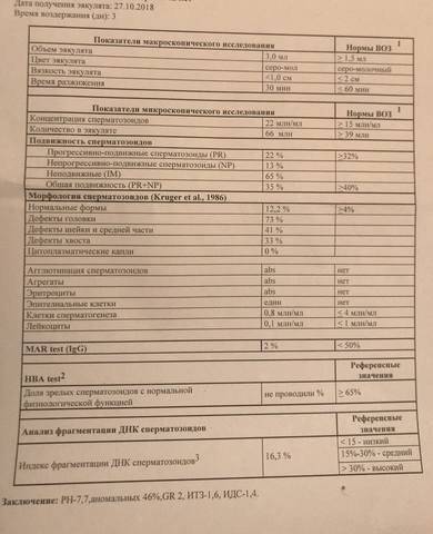 Фрагментация днк сперматозоидов: какие тесты бывают
