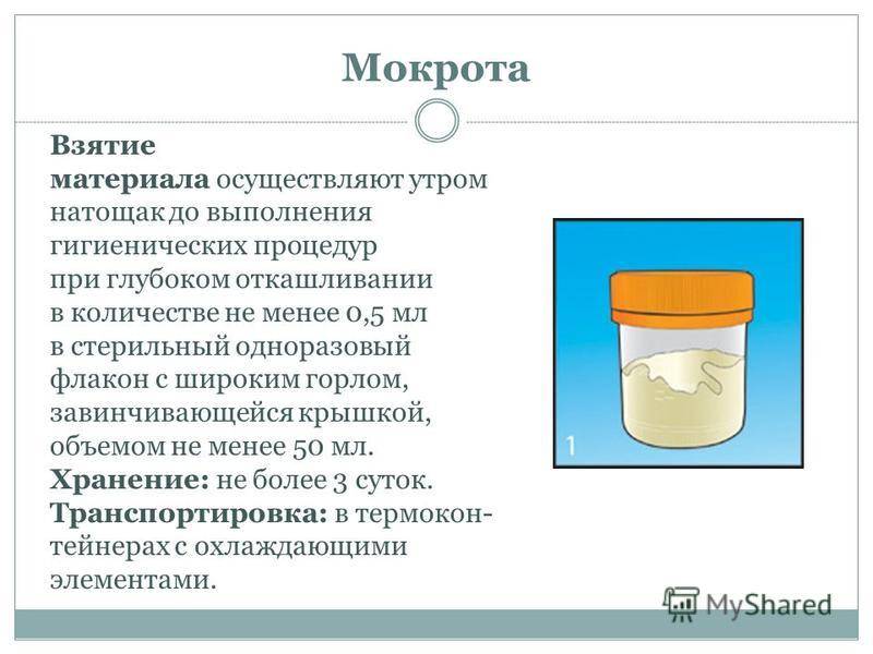 Чем лечить кашель у ребенка после сна? | s-voi.ru