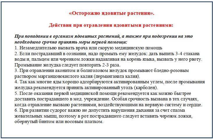 Осторожно, ядовитые растения и ягоды