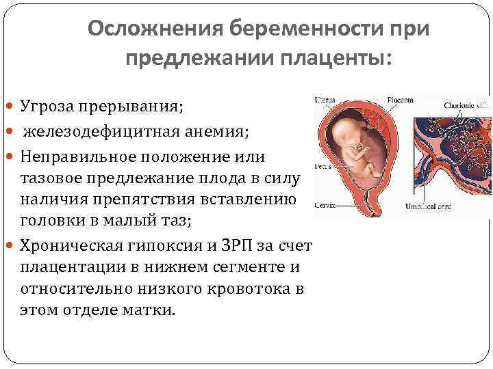 Узи плаценты при беременности: предлежание, степень зрелости, отслойка