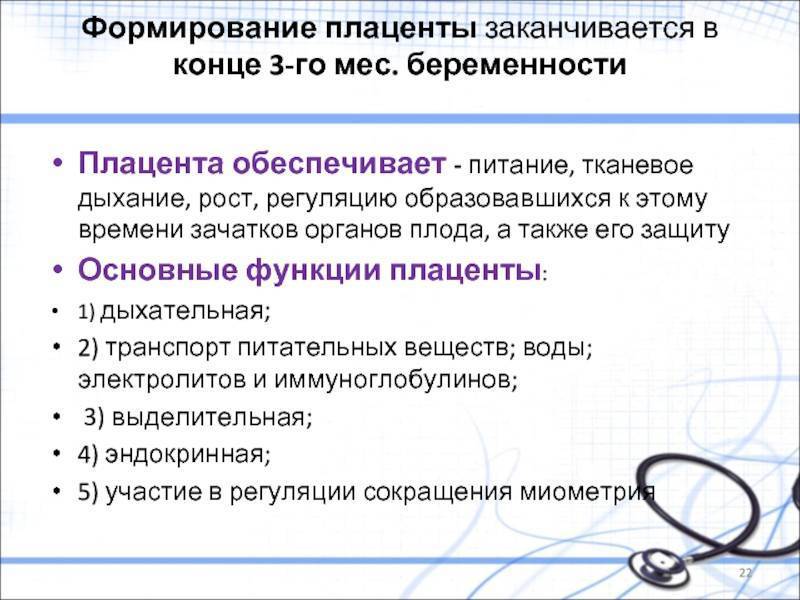 Когда формируется плацента при беременности: сроки и особенности процесса