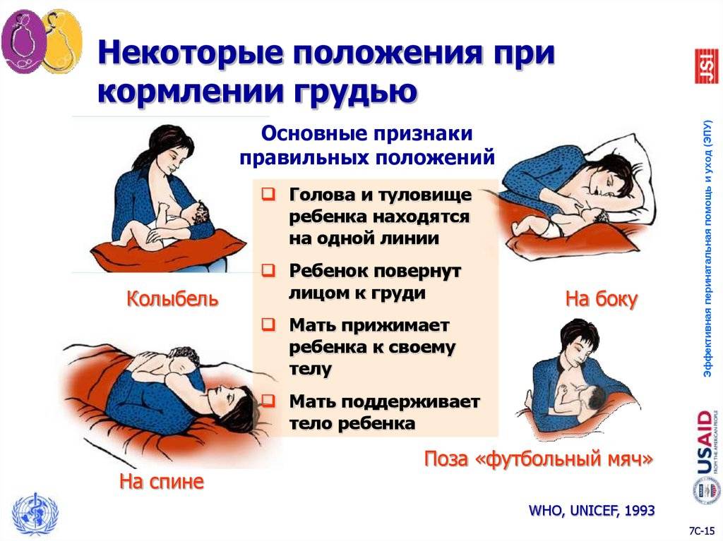 Правильное прикладывание ребенка к груди при гв