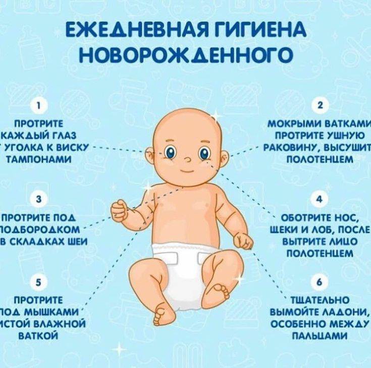 Новорожденный ребенок  — 3 неделя развития