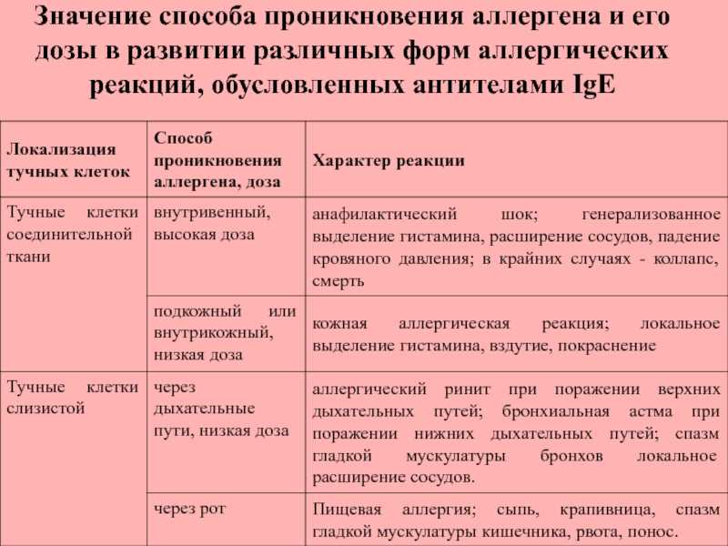 Статья: аллергия на животных у детей и взрослых: симптомы, причины, лечение