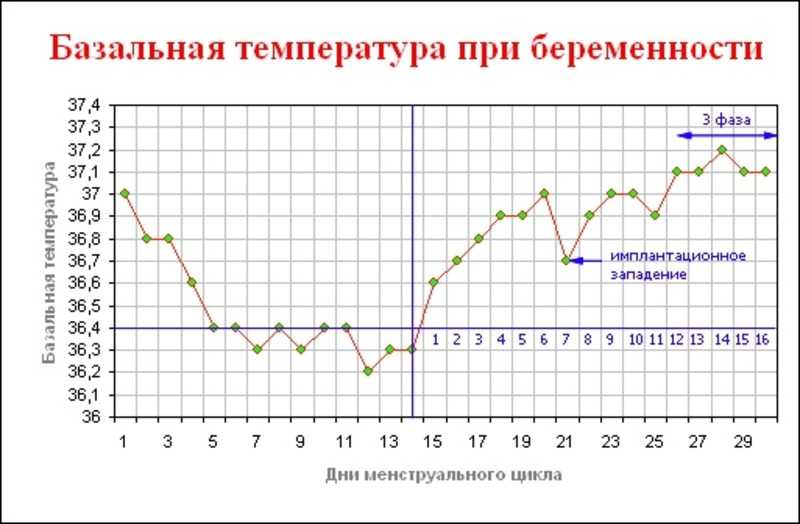 Как измерить базальную температуру для определения беременности?