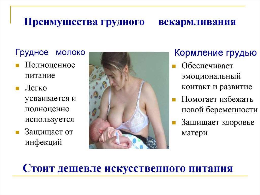 Физиология лактации или как вырабатывается грудное молоко.