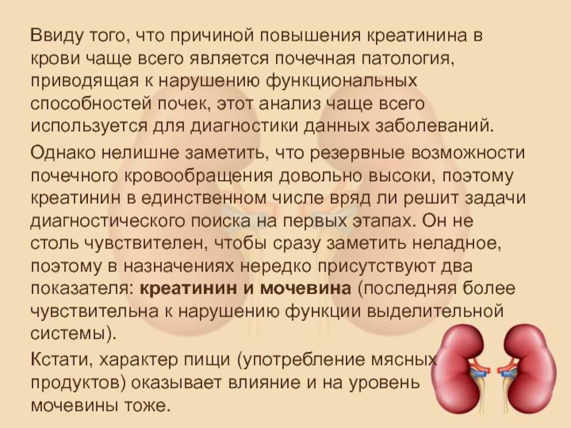 Удвоение почки у детей: как выявить и лечить патологию