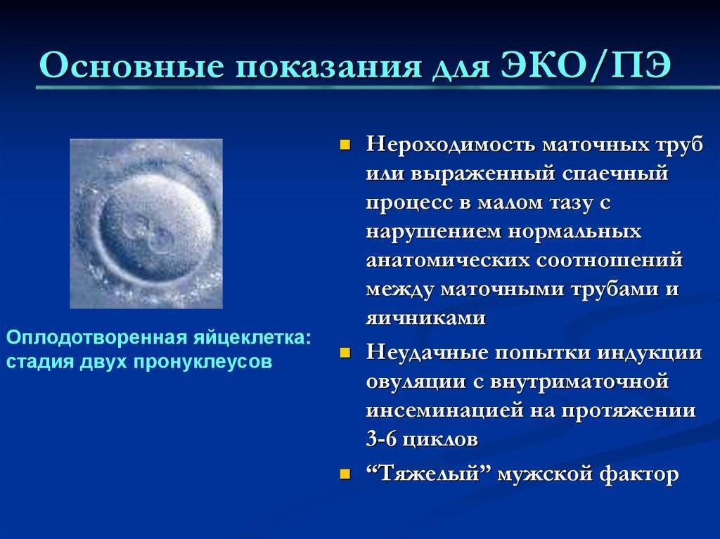 Хетчинг эмбрионов в программе эко: что это такое и с какой целью его выполняют?