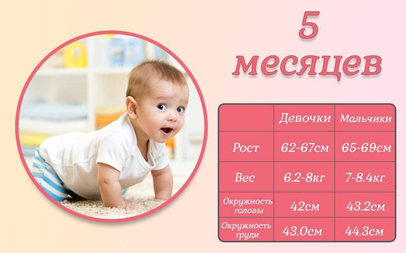 Развитие ребенка в 5 месяцев: что должен уметь делать, как правильно развивать мальчика и девочку
