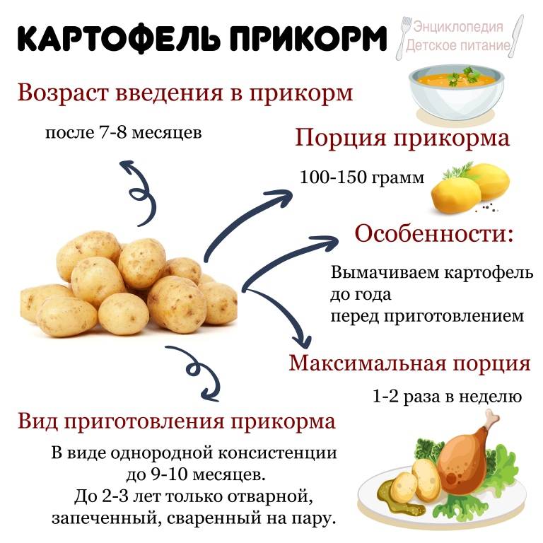 Картофельное пюре для грудничка: когда можно давать (со скольки месяцев), рецепты