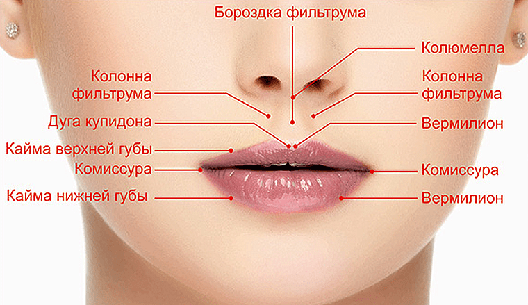 У ребенка опухла верхняя губа: основная причина.