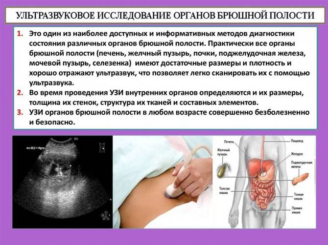 Подготовка к узи брюшной полости, малого таза,  почек — евромедклиник 24