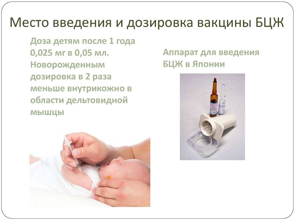 Через сколько дней после прививки можно купать ребёнка