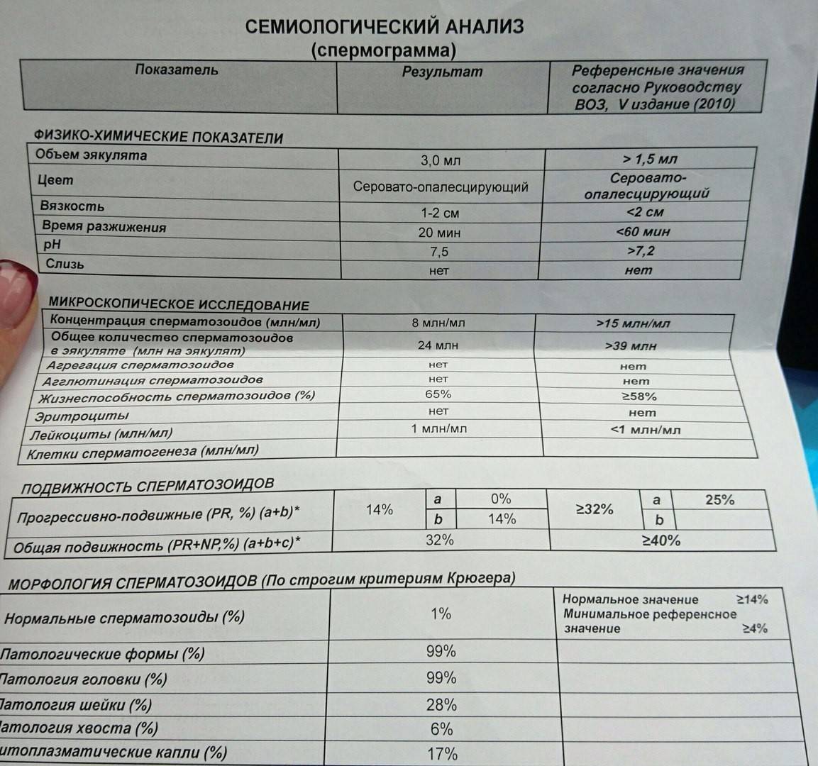 Как алкоголь влияет на спермограмму?