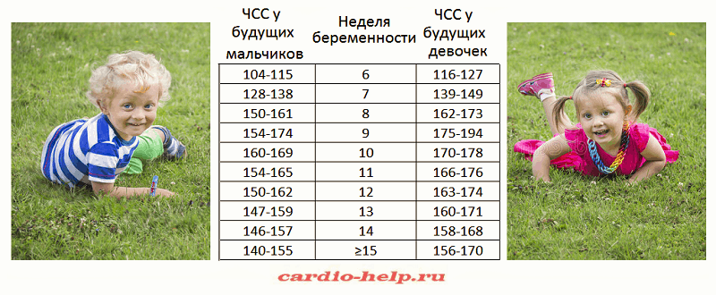 Определение пола ребенка по его сердцебиению