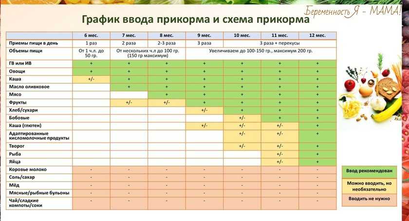 Подводные камни педиатрического прикорма
