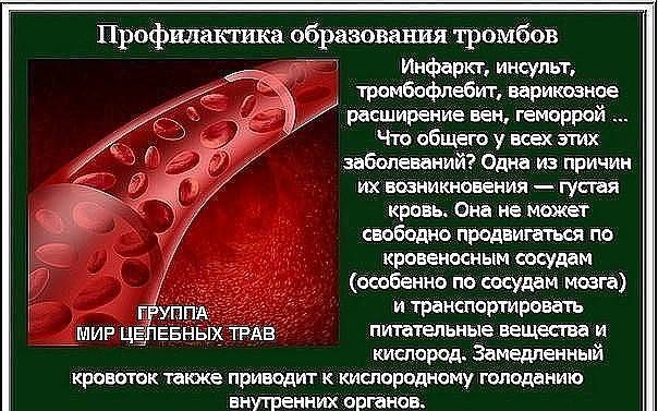 Густая кровь у новорожденного: причины, симптомы и методы лечения. жидкая кровь у ребенка причины. жидкая кровь: причины, лечение