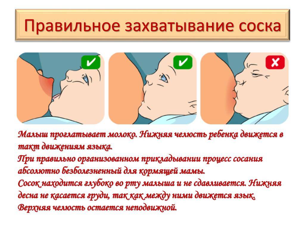 Кормление по требованию: правила и частота кормления