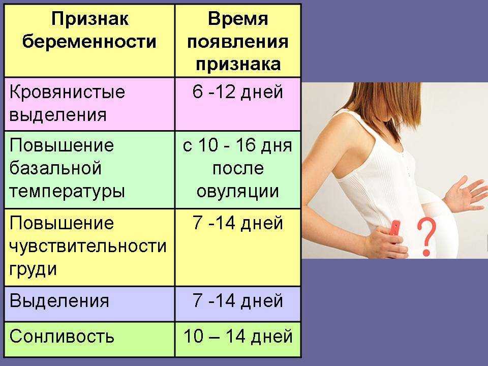 Беременность на первом месяце: какие признаки, что происходит в организме мамы, как развивается плод?