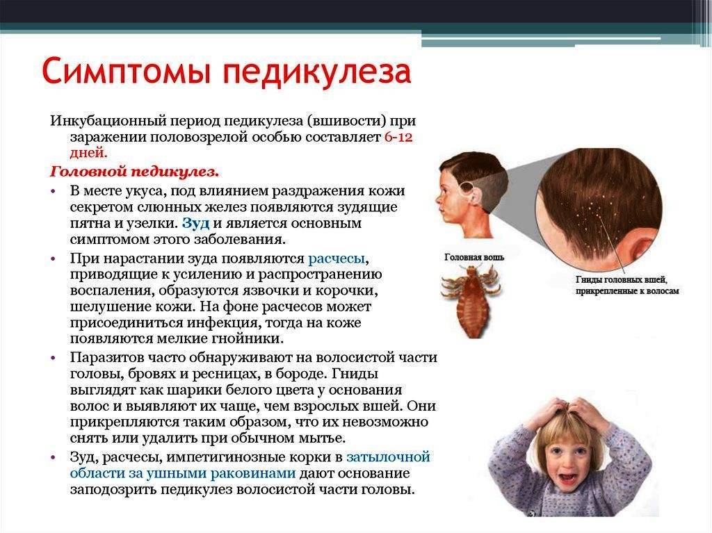 Грудничок чешет ушки! - болталка для мамочек малышей до двух лет - страна мам