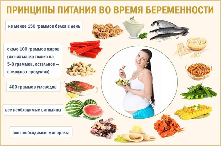 Правильное питание во время беременности по неделям: таблица и меню, чтобы не набрать лишний вес.