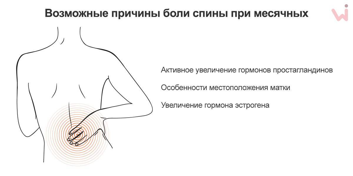 Почему перед месячными болит поясница и тянет низ живота