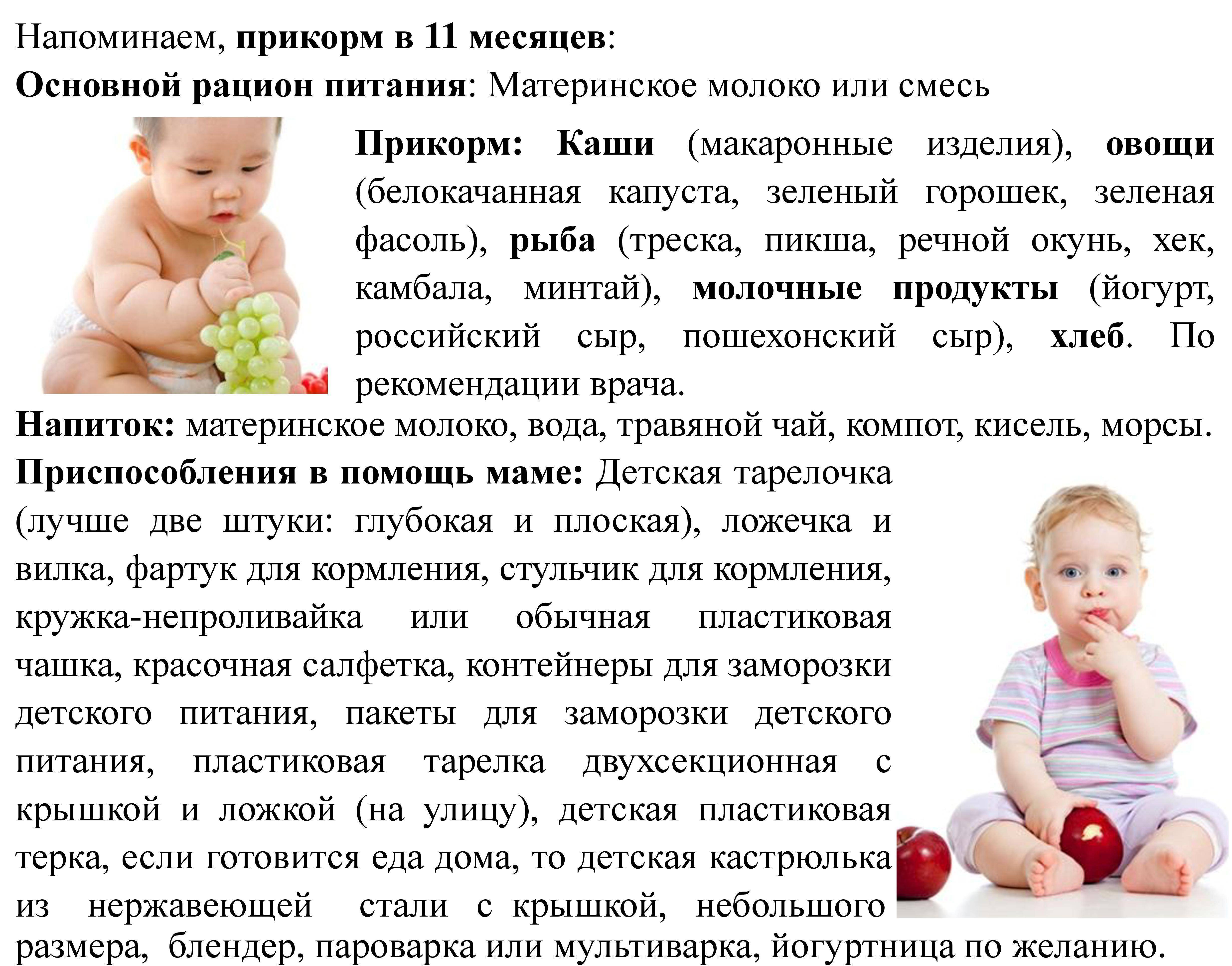 Развитие ребенка в 1 год и 9 месяцев: девочки и мальчики в этом возрасте