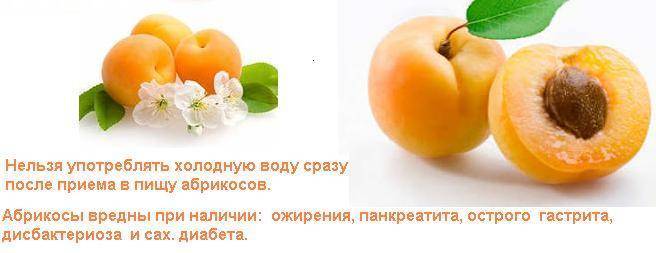 Когда можно кушать чернослив и курагу при грудном вскармливании?