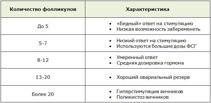 Доминантный фолликул в левом яичнике: как выглядит и причины появления аномалии?