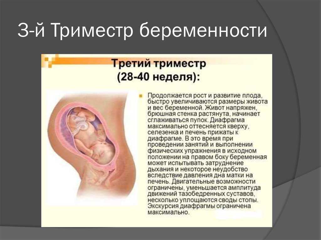 Третье узи при беременности: на каком сроке делают последнее плановое исследование, расшифровка результатов, нормы показателей плода на 30-34 неделе