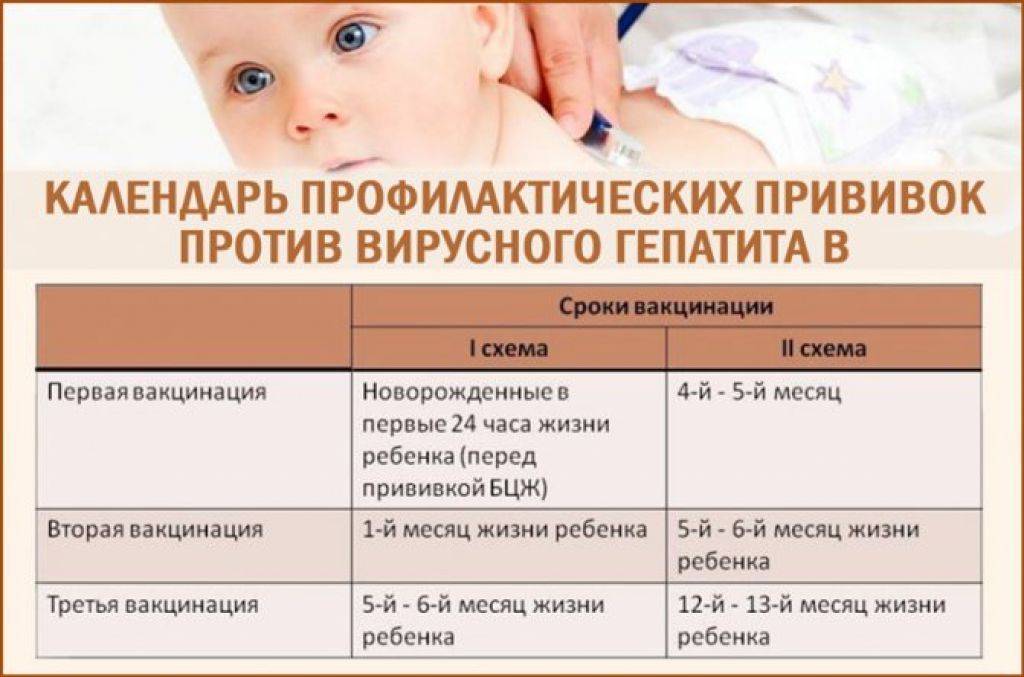 График прививок детям до года - плановые прививки для грудничков