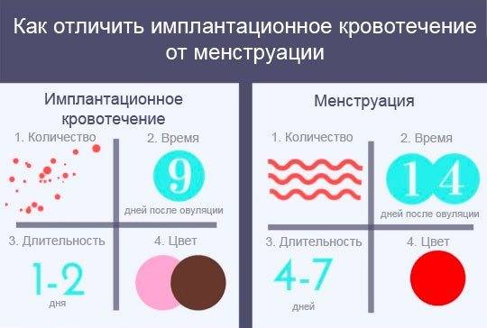 Имплантационное кровотечение: на какой день после зачатия наступает, как отличить от месячных?