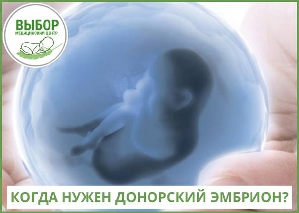 "я забеременела с донорским эмбрионом. и я не устану рассказывать об этом!" — история силлы холм в журнале tara, швеция - международный центр фертильности